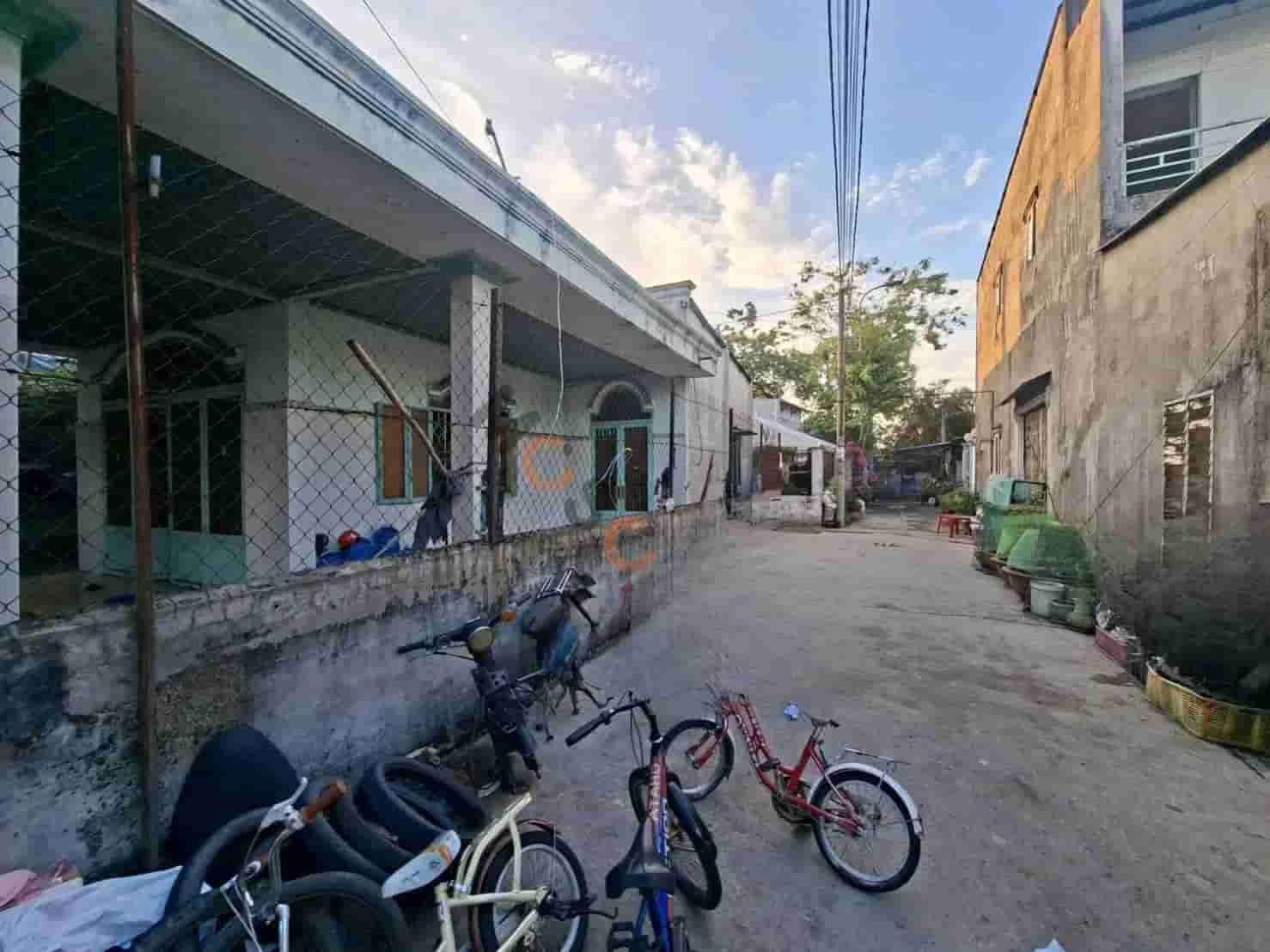 Image Image
