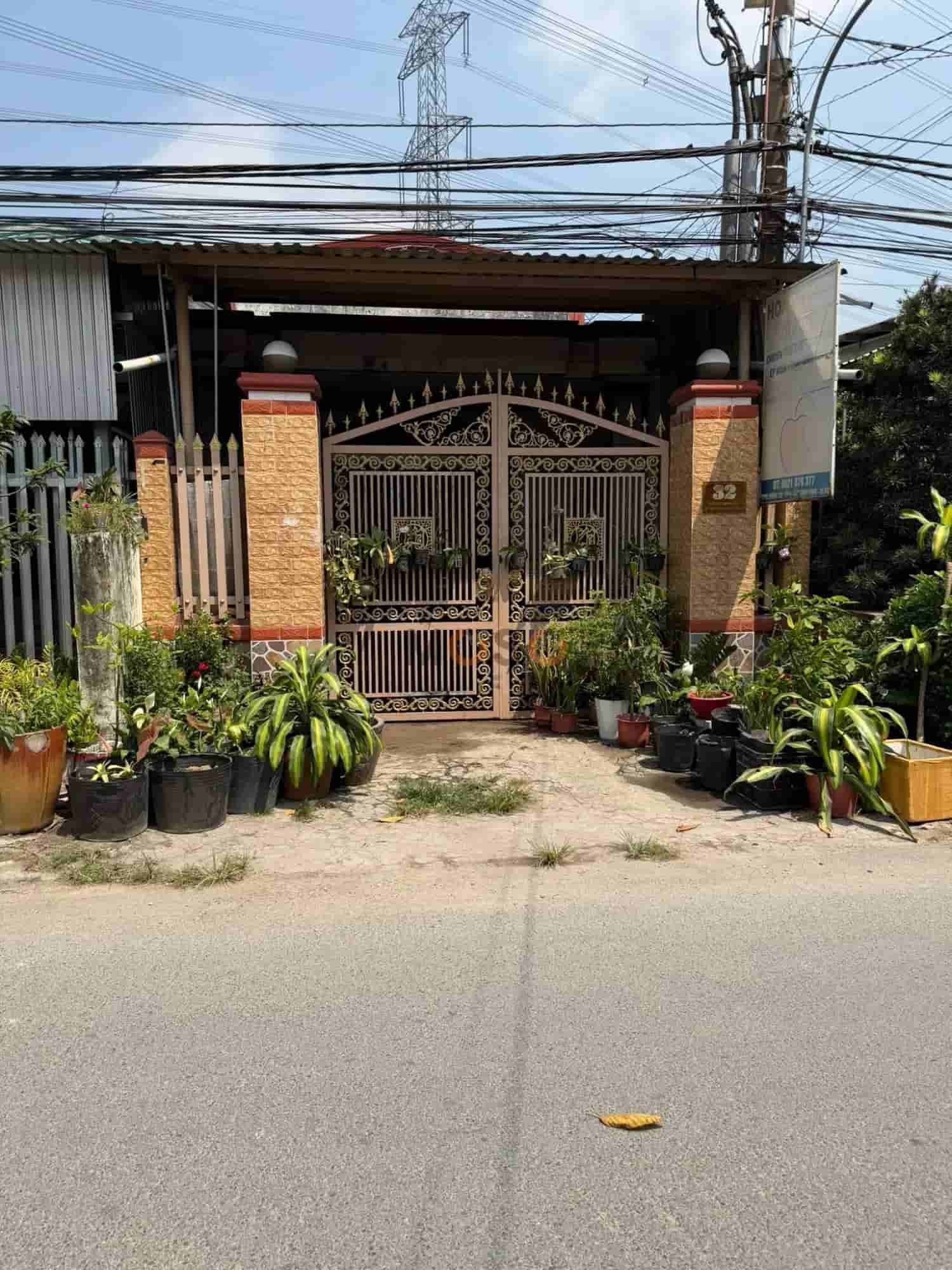 Image Image