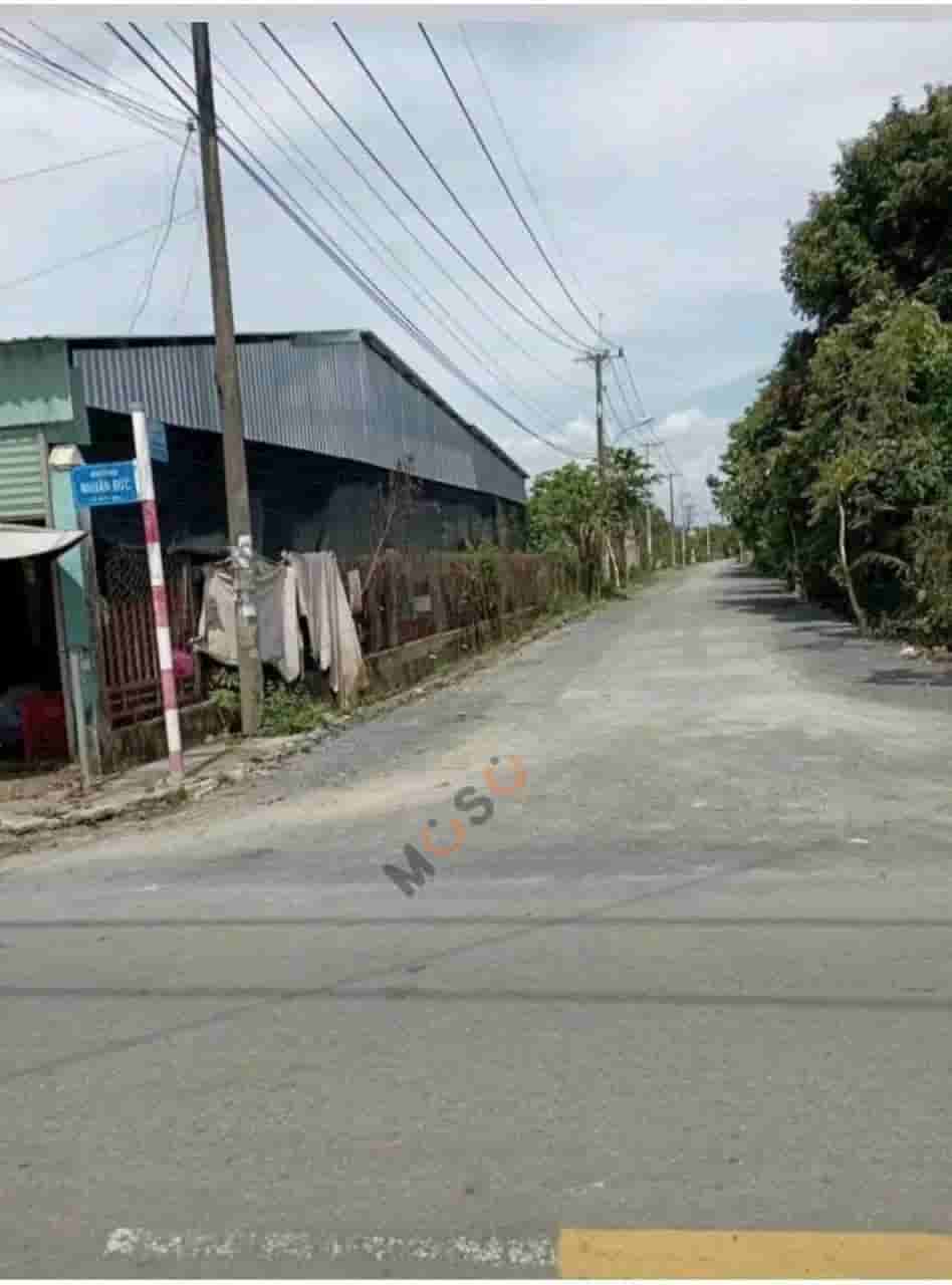 Image Image