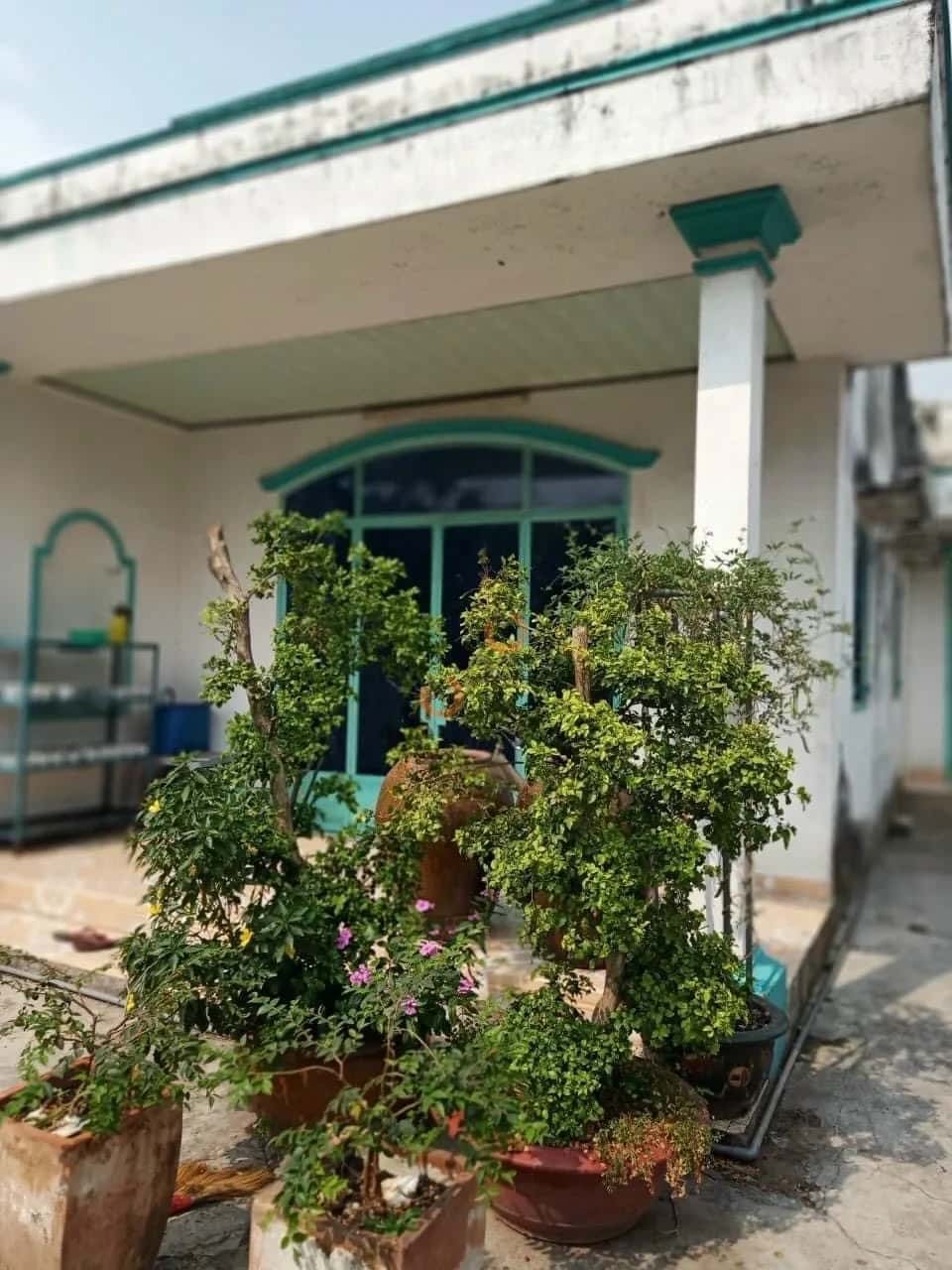 Bán nhà hẻm đường Lê Chí Dân Thành phố Thủ Dầu Một, Bình Dương – 2 phòng ngủ, giá 3.9 tỷ — Hình 2 Bán nhà hẻm đường Lê Chí Dân Thành phố Thủ Dầu Một, Bình Dương – 2 phòng ngủ, giá 3.9 tỷ — Hình 2