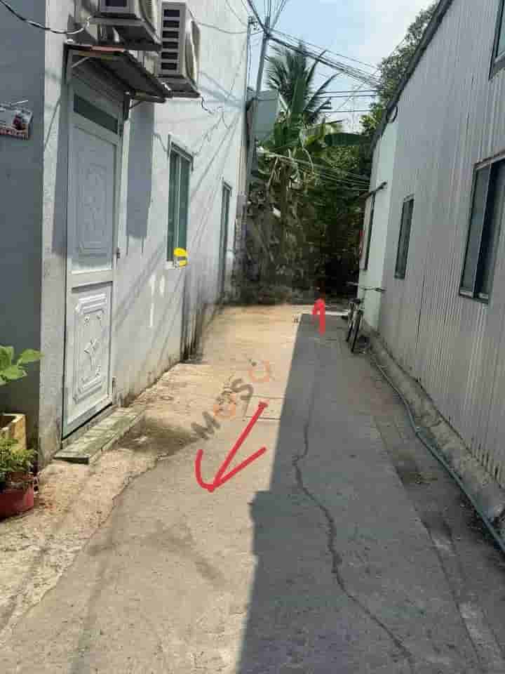 Image Image