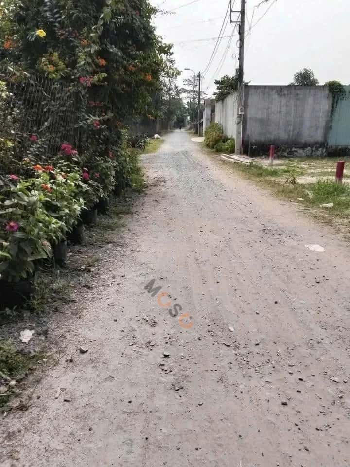 Hình ảnh nhà 2 Hình ảnh nhà 2