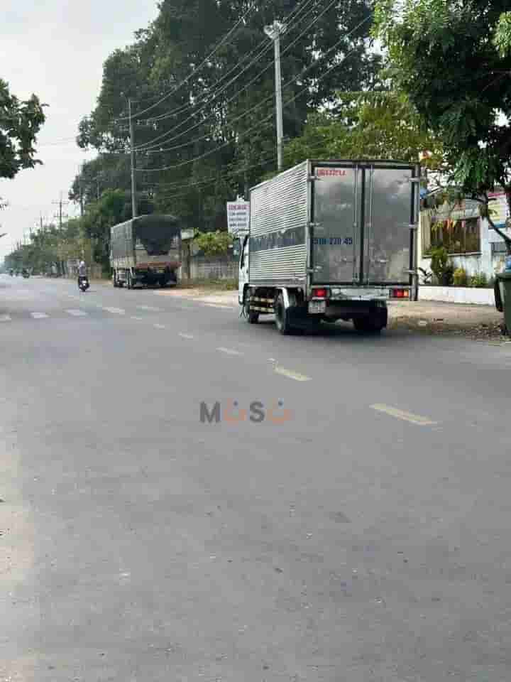 Image Image