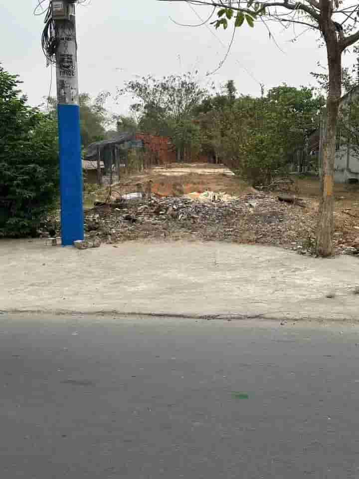 Image Image