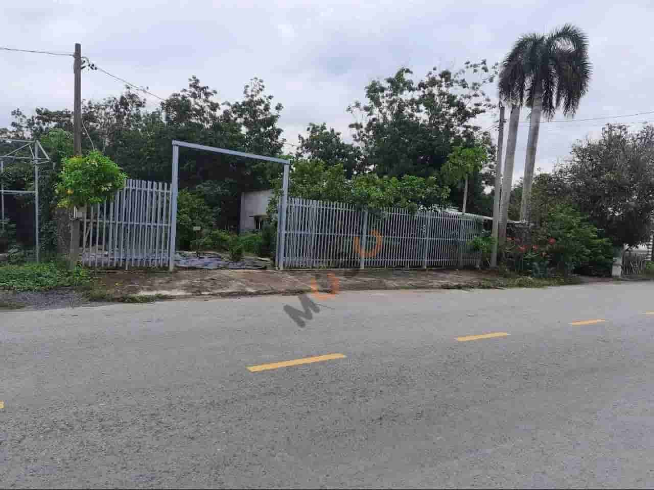 Image Image