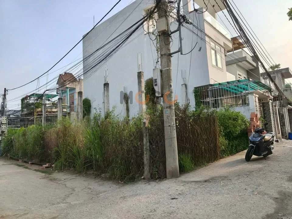 Hình ảnh nhà 2 Hình ảnh nhà 2