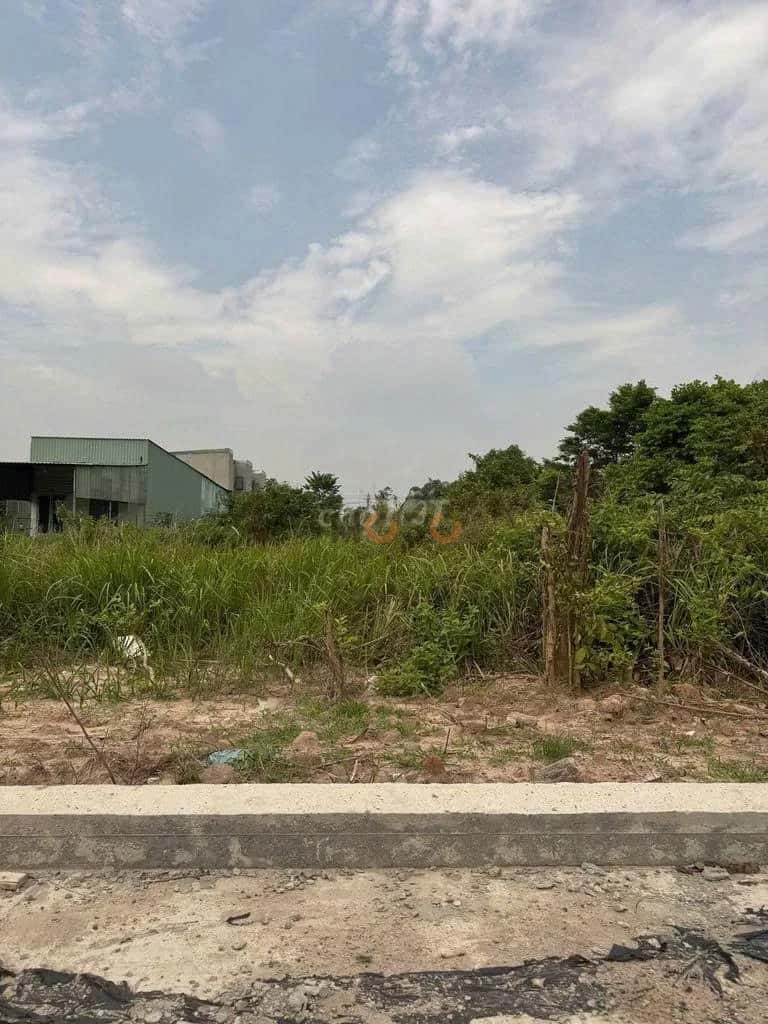 Hình ảnh nhà 2 Hình ảnh nhà 2