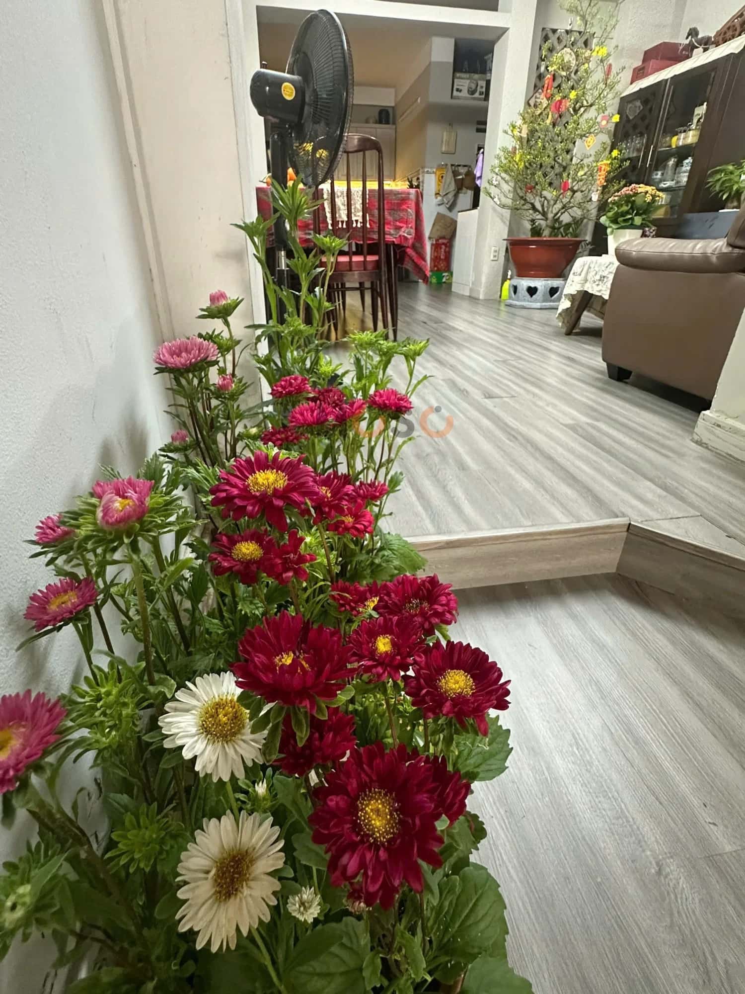 Hình ảnh nhà 3 Hình ảnh nhà 3