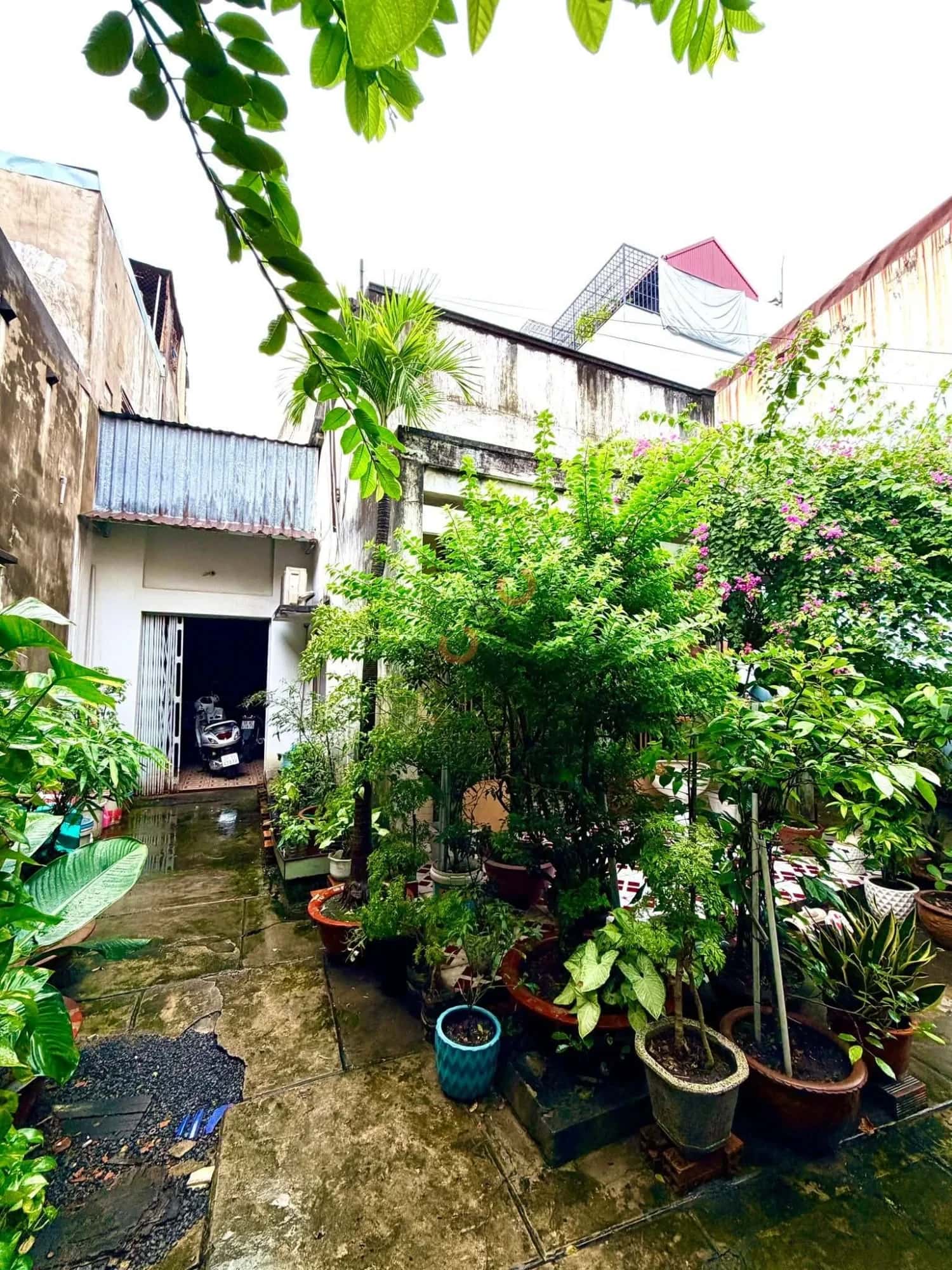 Hình ảnh nhà 3 Hình ảnh nhà 3
