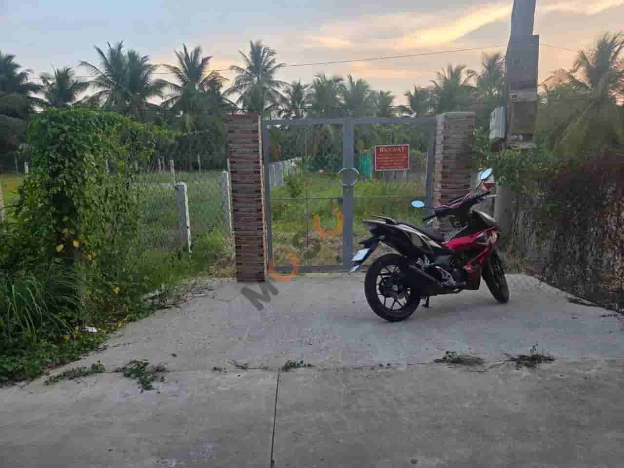 Image Image