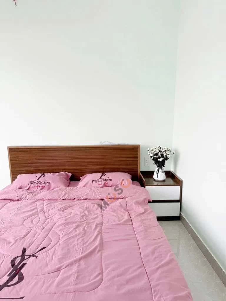Cho thuê căn hộ dịch vụ Huỳnh Văn Nghệ Tân Bình, TP.HCM – giá 4.3 triệu — Hình 3 Cho thuê căn hộ dịch vụ Huỳnh Văn Nghệ Tân Bình, TP.HCM – giá 4.3 triệu — Hình 3