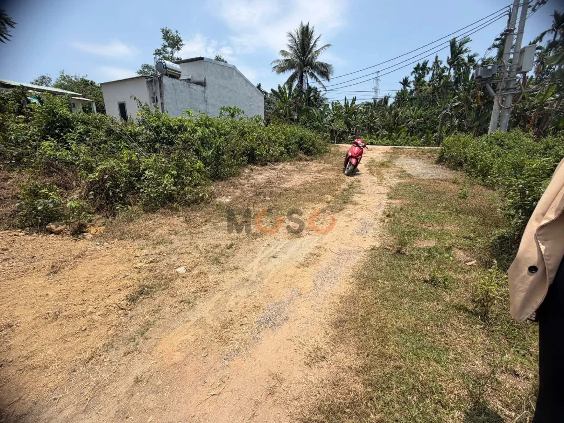 Hình ảnh nhà 2 Hình ảnh nhà 2