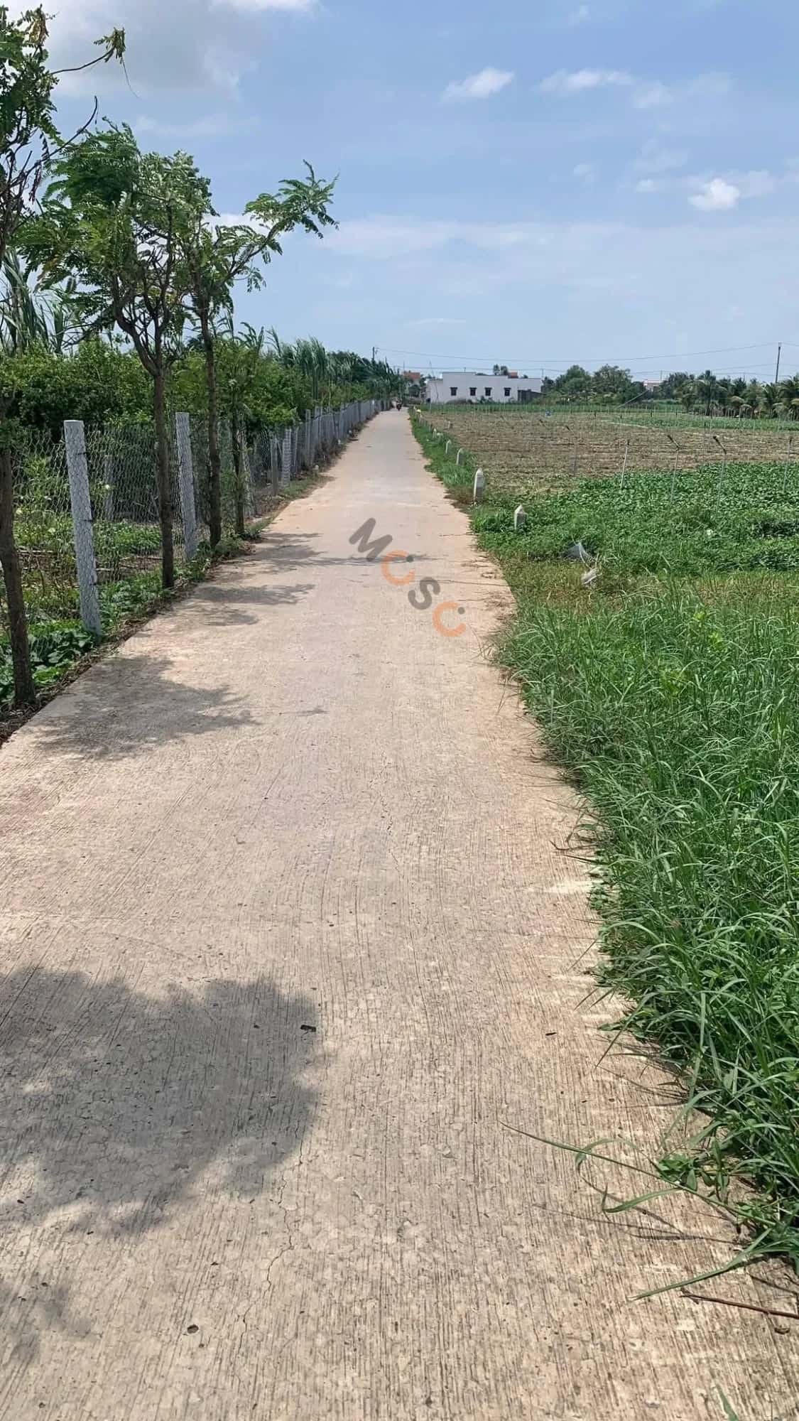 Bán đất ấp Xóm Đen Huyện Gò Công Đông, Tiền Giang – giá 900 triệu — Hình 3 Bán đất ấp Xóm Đen Huyện Gò Công Đông, Tiền Giang – giá 900 triệu — Hình 3