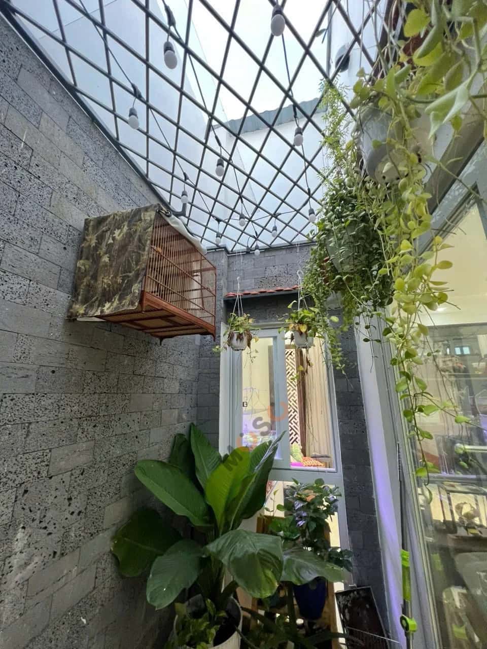Hình ảnh nhà 2 Hình ảnh nhà 2