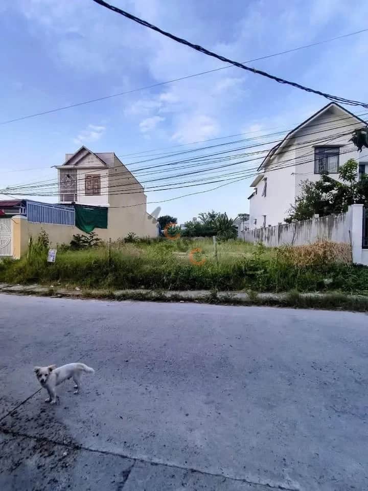 Bán đất đường Hoàng Minh Thảo, thôn Phước Lộc Thành phố Nha Trang, Khánh Hòa – giá 3 tỷ Bán đất đường Hoàng Minh Thảo, thôn Phước Lộc Thành phố Nha Trang, Khánh Hòa – giá 3 tỷ
