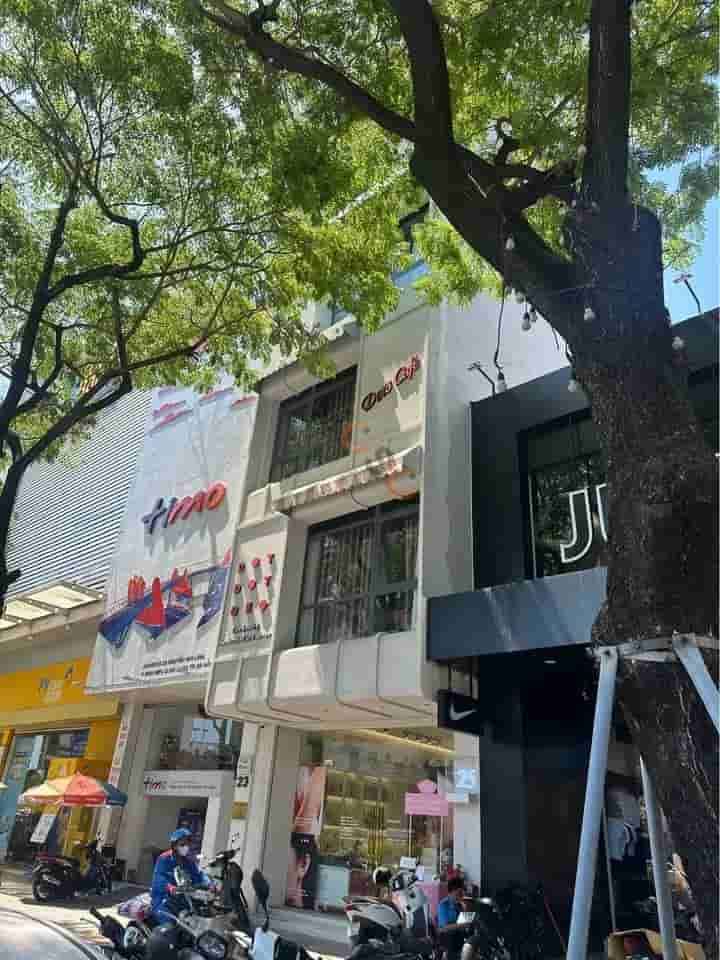 Image Image