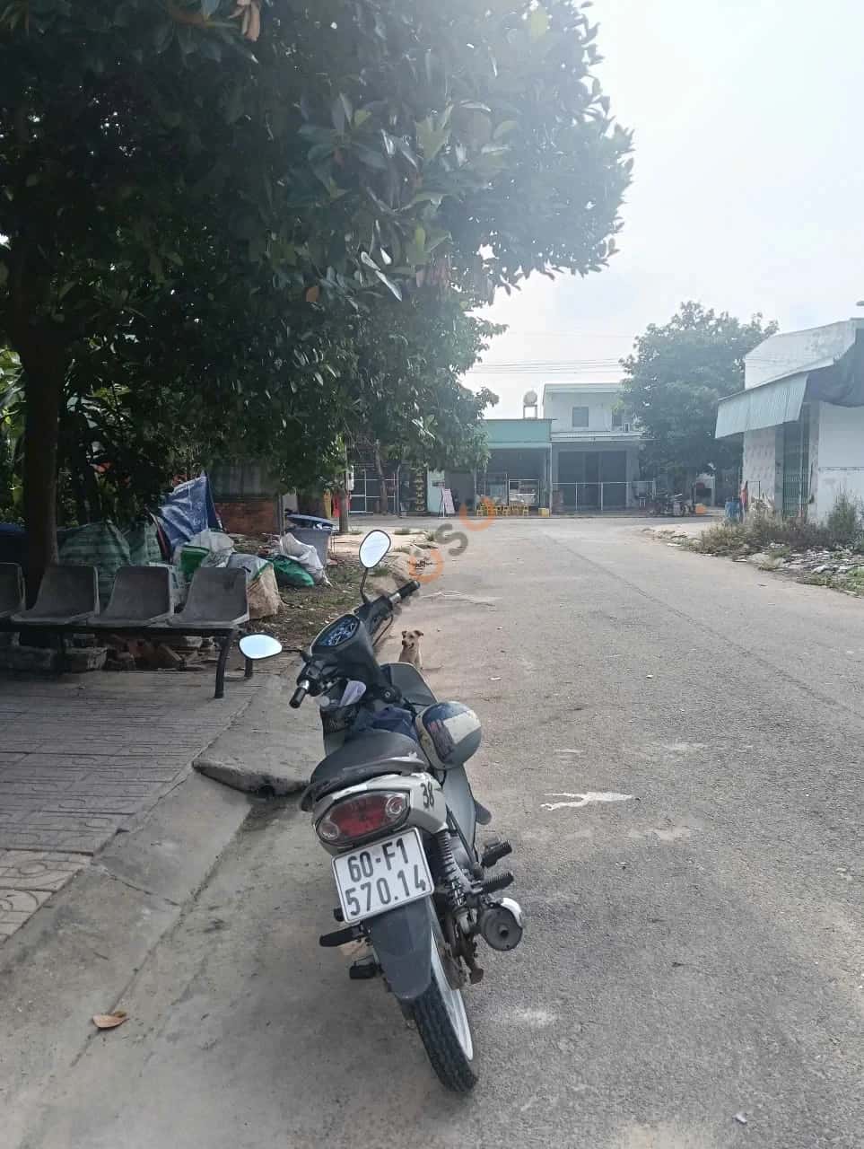 Bán đất đường D13 Thành phố Bến Cát, Bình Dương – giá 1.6 tỷ — Hình 3 Bán đất đường D13 Thành phố Bến Cát, Bình Dương – giá 1.6 tỷ — Hình 3