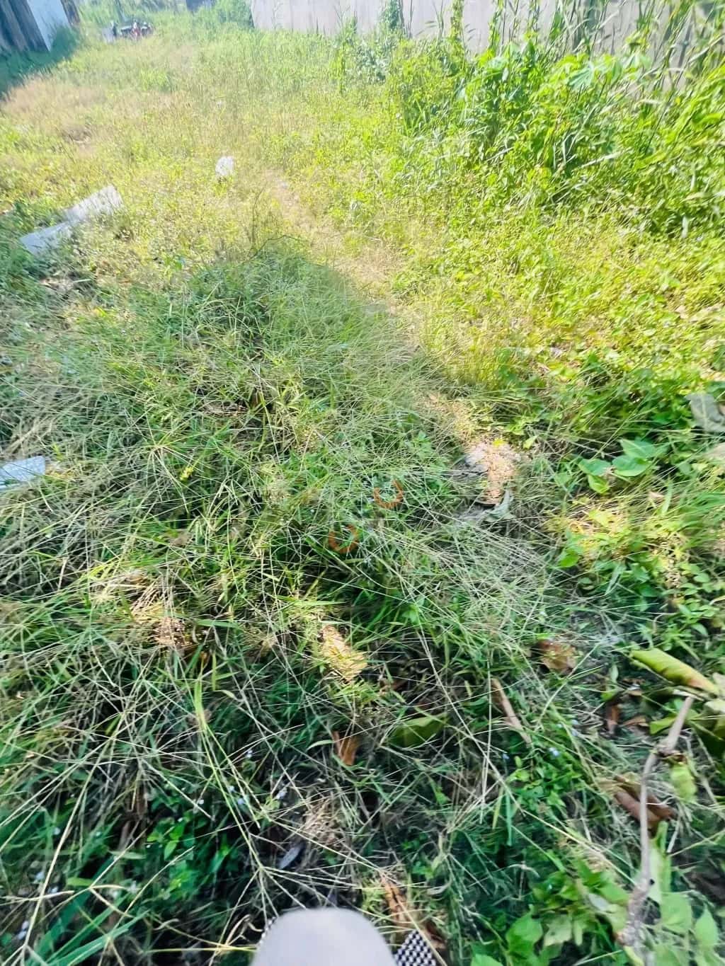 Cho thuê đất Cái Răng, Cần Thơ – giá 25 triệu — Hình 2 Cho thuê đất Cái Răng, Cần Thơ – giá 25 triệu — Hình 2