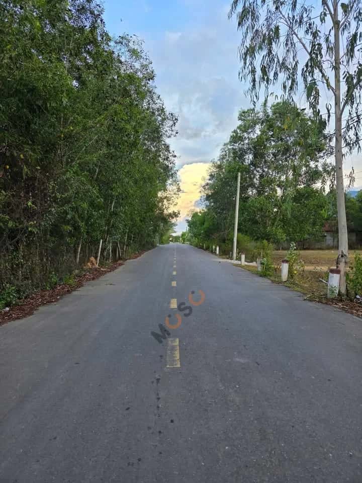 Hình ảnh nhà 3 Hình ảnh nhà 3
