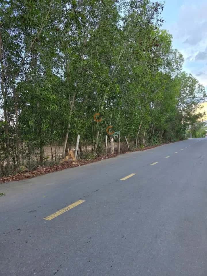 Hình ảnh nhà 2 Hình ảnh nhà 2