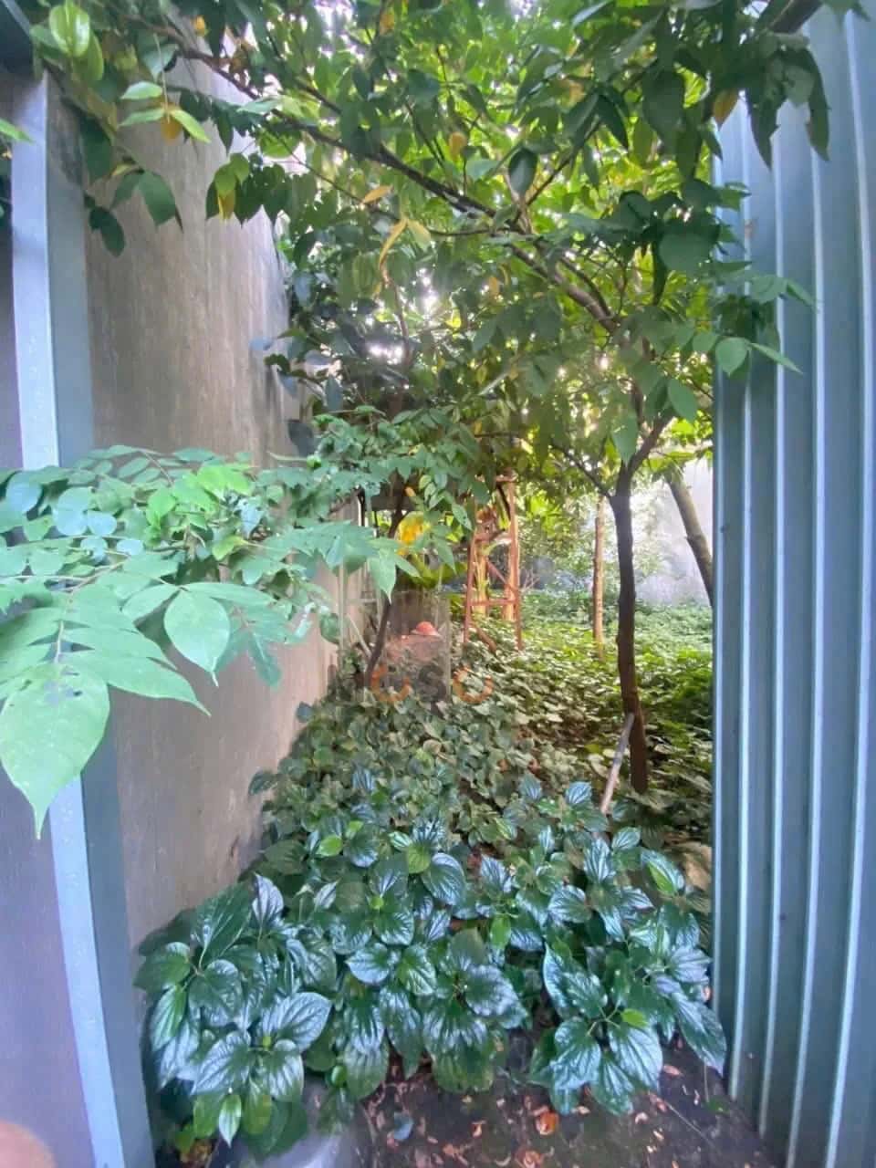 Hình ảnh nhà 3 Hình ảnh nhà 3