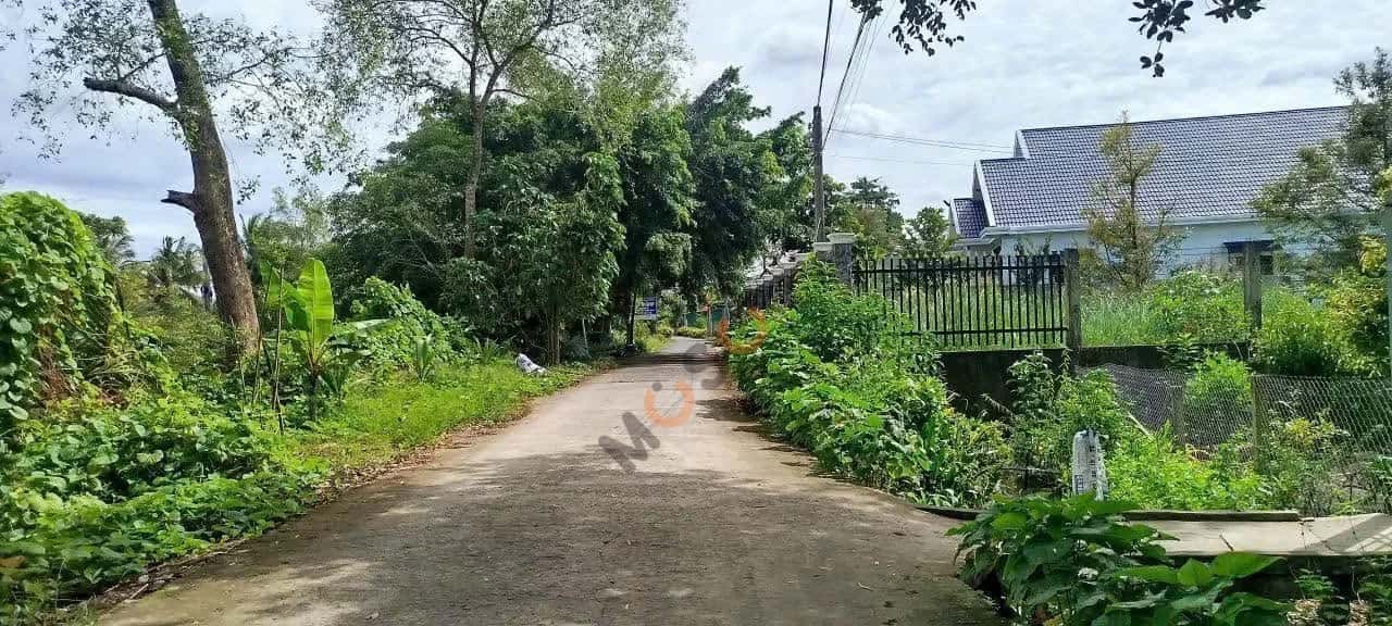 Bán đất Ấp Tân Thành Huyện Phong Điền, TP. Cần Thơ – giá 699 triệu — Hình 2 Bán đất Ấp Tân Thành Huyện Phong Điền, TP. Cần Thơ – giá 699 triệu — Hình 2