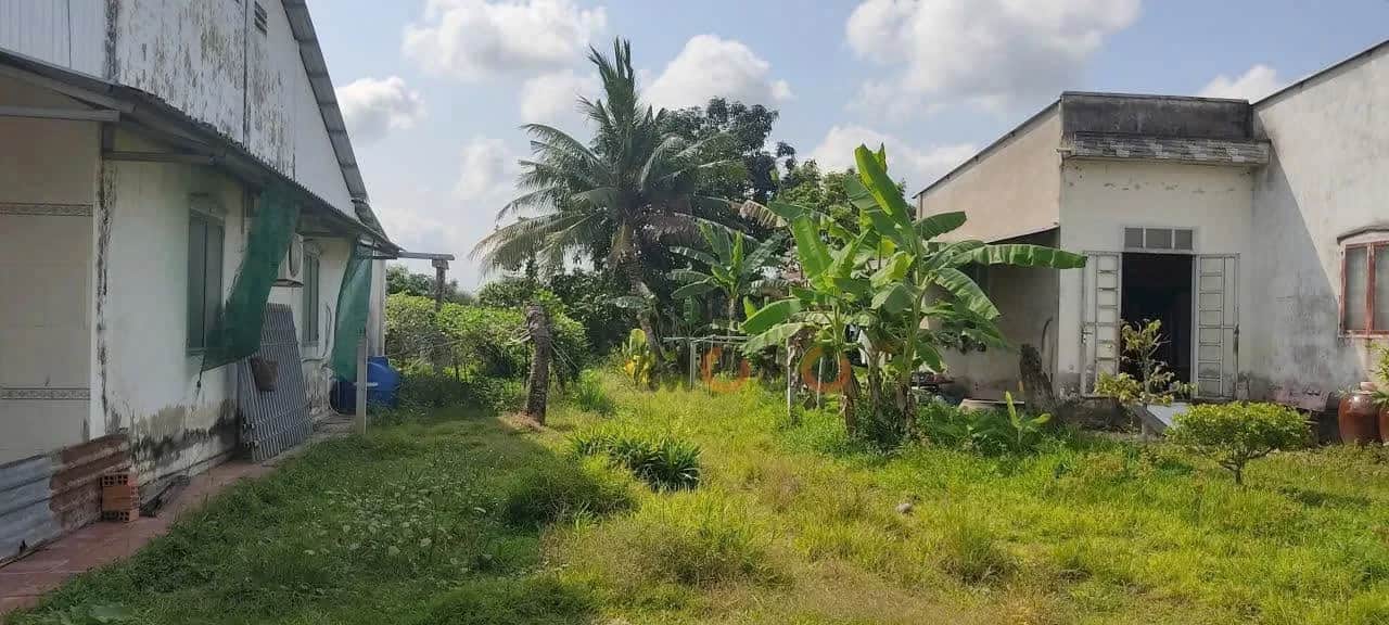 Bán đất Ấp Tân Thành Huyện Phong Điền, TP. Cần Thơ – giá 699 triệu Bán đất Ấp Tân Thành Huyện Phong Điền, TP. Cần Thơ – giá 699 triệu