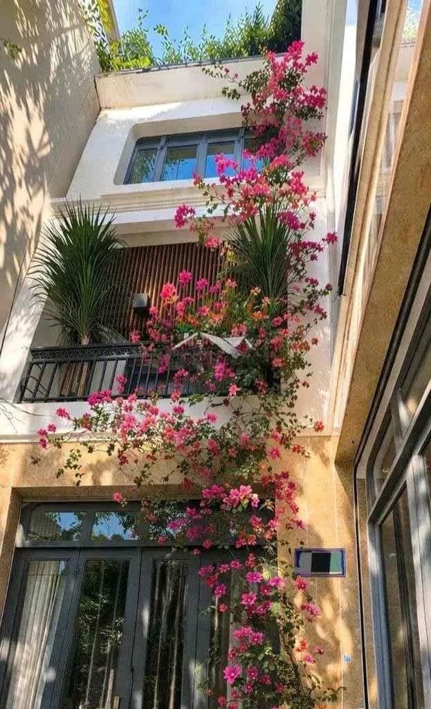 Cho thuê nhà hẻm Nguyễn Văn Công Quận Tân Bình, TP.HCM – 4 phòng ngủ, giá 19 triệu Cho thuê nhà hẻm Nguyễn Văn Công Quận Tân Bình, TP.HCM – 4 phòng ngủ, giá 19 triệu