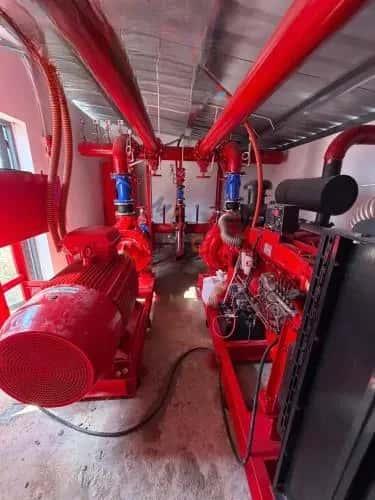 Hình ảnh nhà 2 Hình ảnh nhà 2