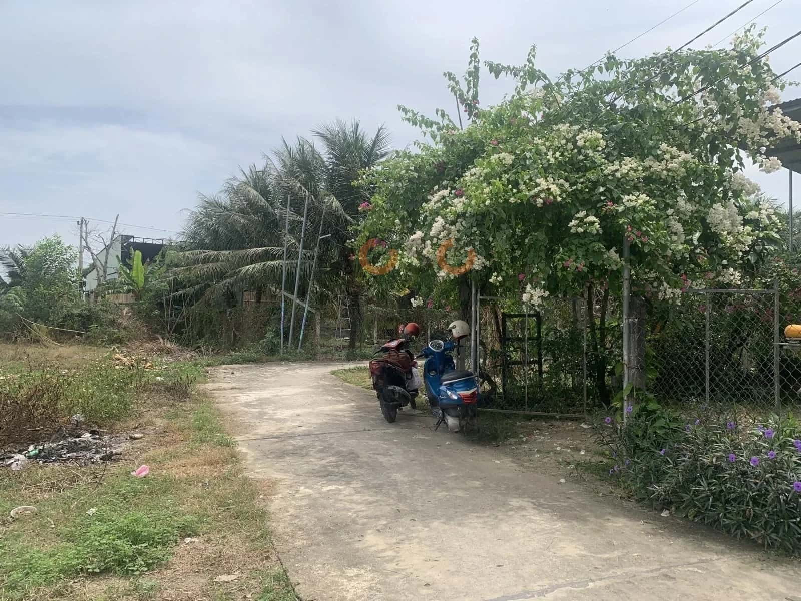 Bán đất thôn An Định Huyện Diên Khánh, Khánh Hòa – giá 1.4 tỷ — Hình 2 Bán đất thôn An Định Huyện Diên Khánh, Khánh Hòa – giá 1.4 tỷ — Hình 2