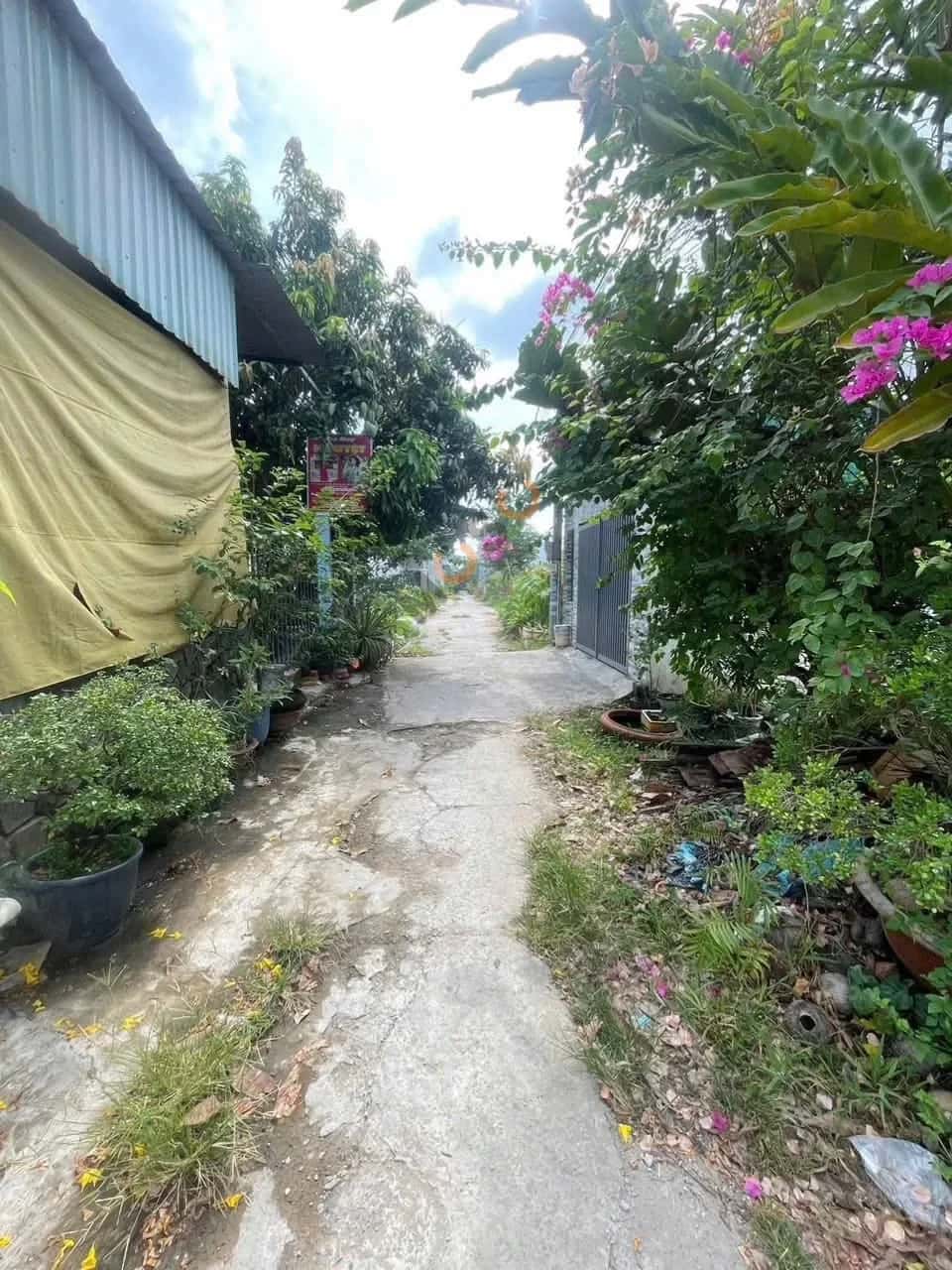 Bán đất Khu Vực Bình Phó A Quận Bình Thuỷ, TP. Cần Thơ – giá 690 triệu — Hình 3 Bán đất Khu Vực Bình Phó A Quận Bình Thuỷ, TP. Cần Thơ – giá 690 triệu — Hình 3