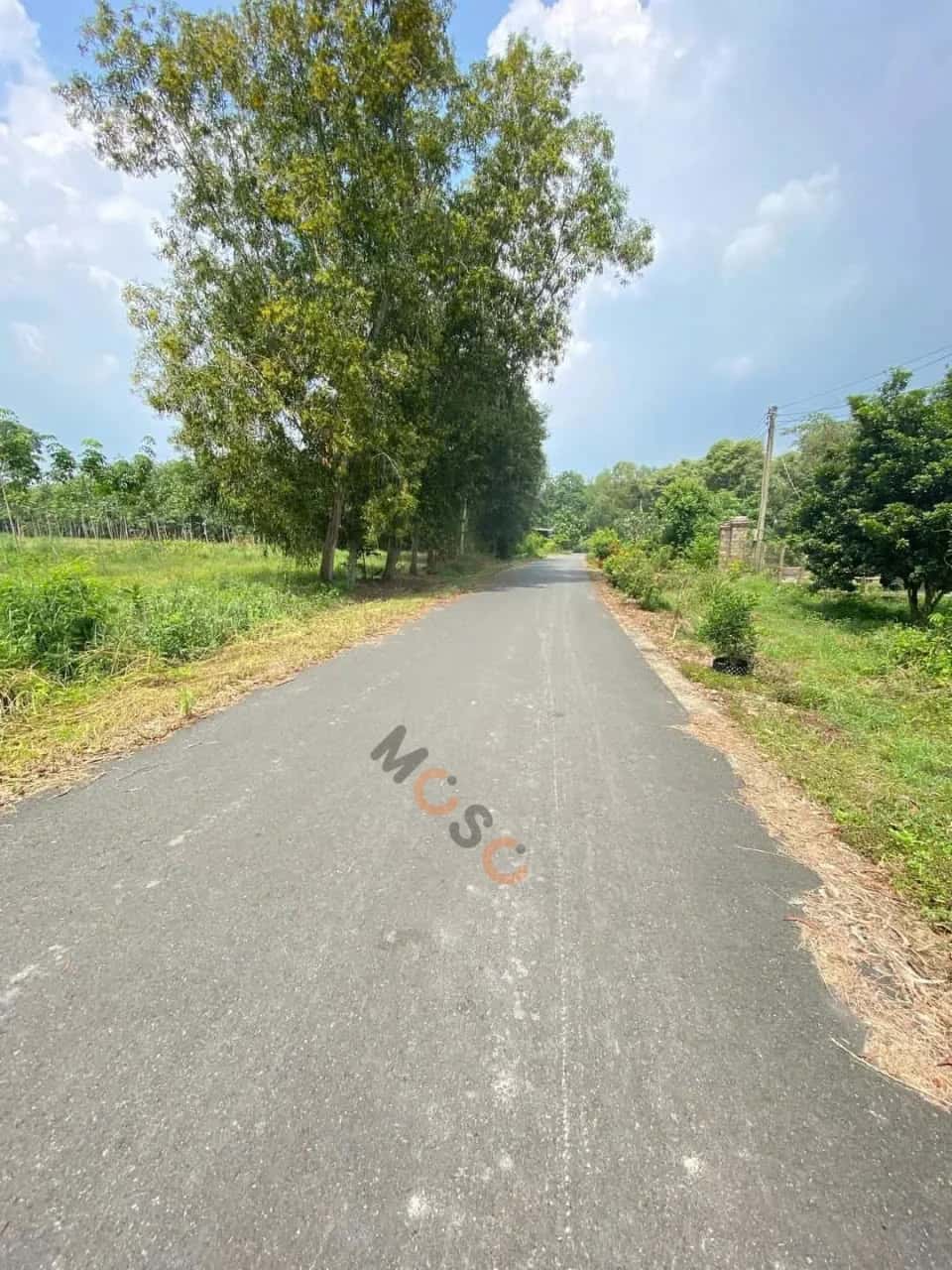 Hình ảnh nhà 3 Hình ảnh nhà 3