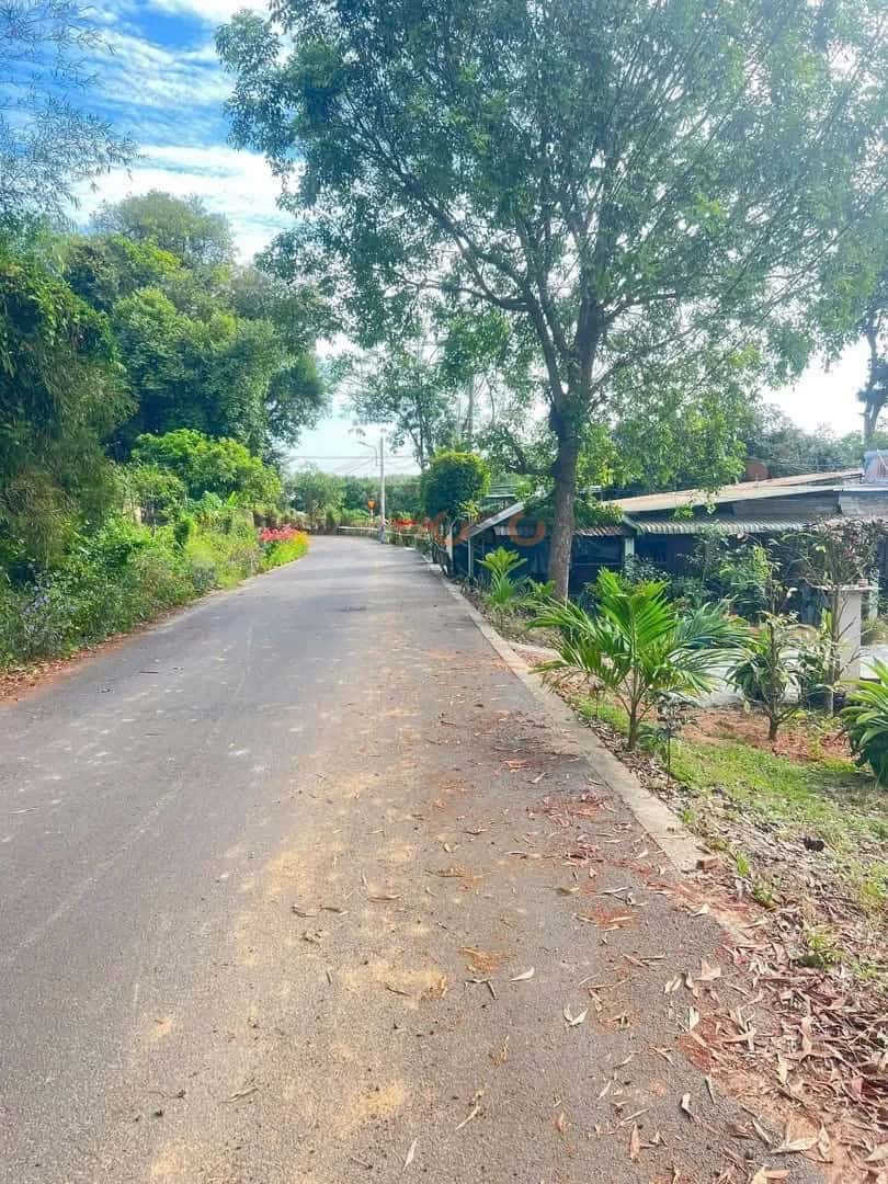 Hình ảnh nhà 2 Hình ảnh nhà 2