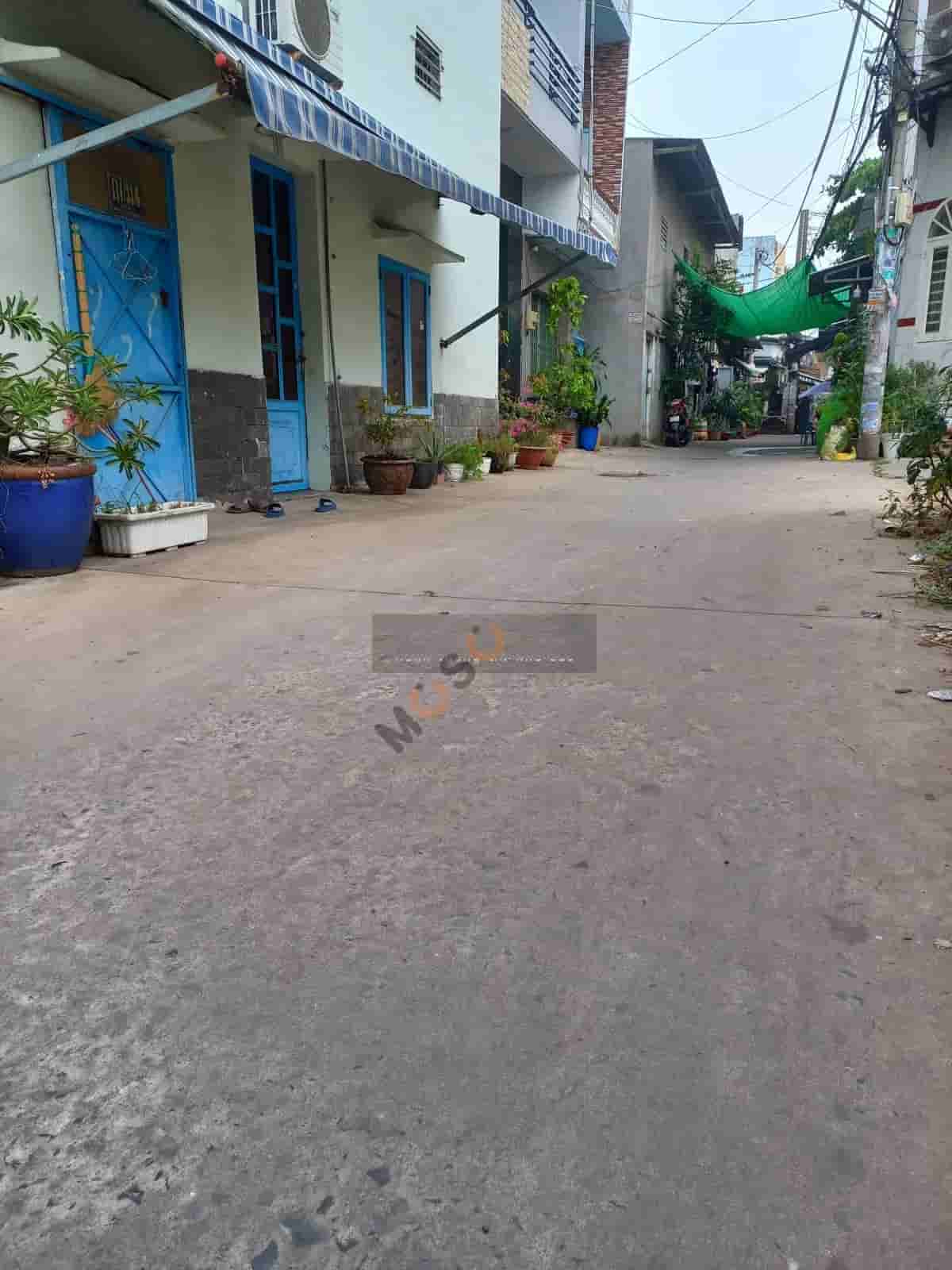 Image Image