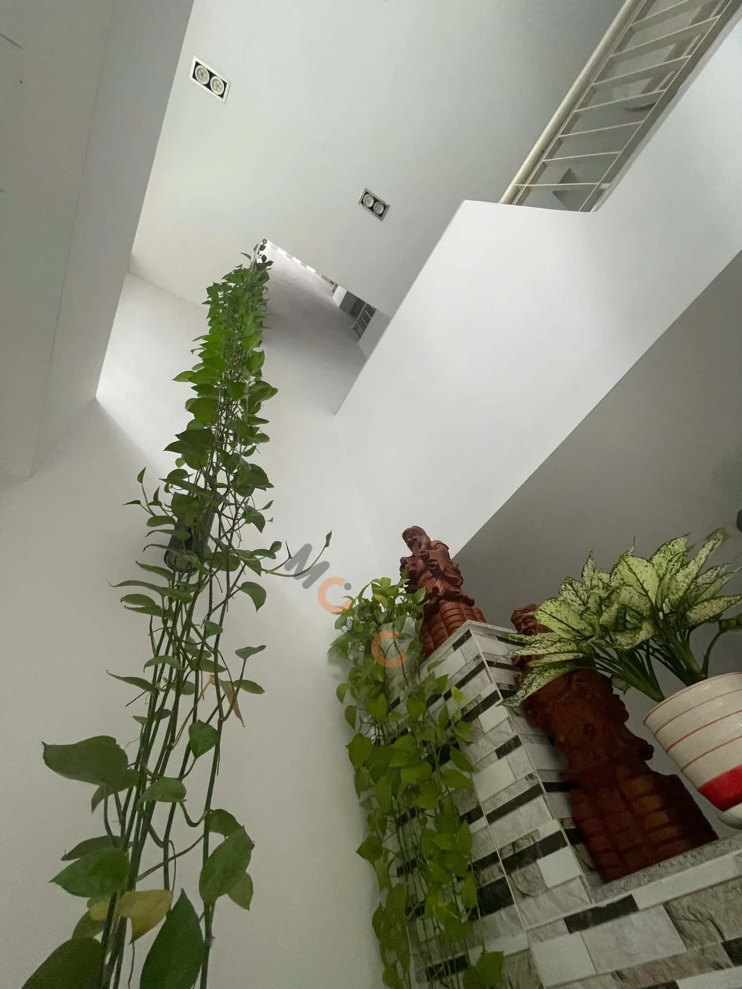 Hình ảnh nhà 2 Hình ảnh nhà 2