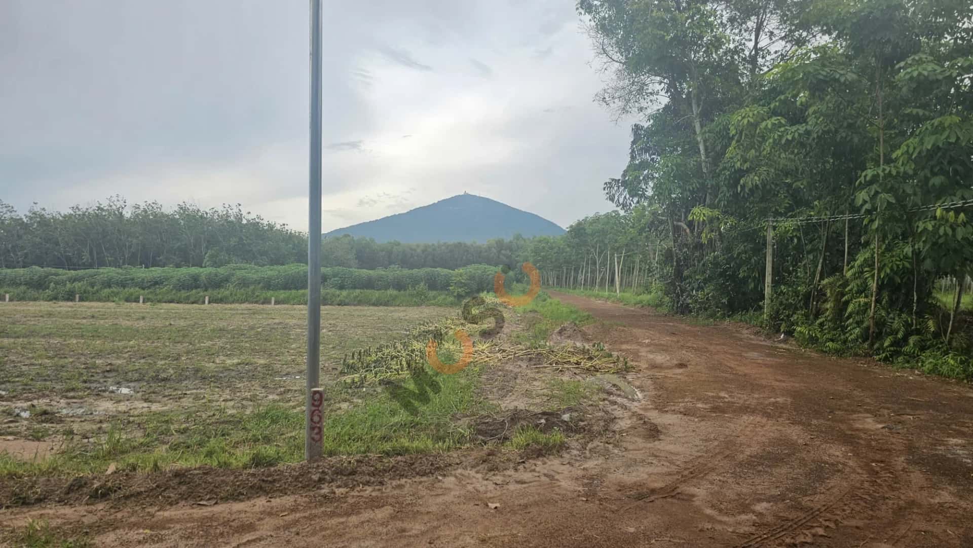 Bán đất Đường Bờ Nam Kênh Tây Thành phố Tây Ninh, Tây Ninh – giá 226 triệu — Hình 2 Bán đất Đường Bờ Nam Kênh Tây Thành phố Tây Ninh, Tây Ninh – giá 226 triệu — Hình 2