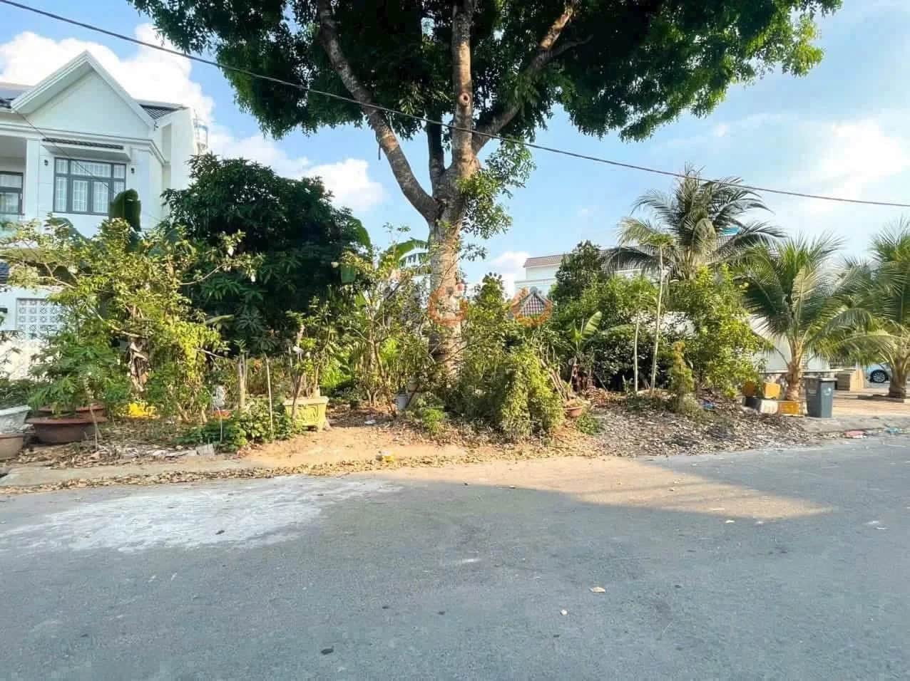 Bán đất Khu nhà vườn Cồn Khương Quận Ninh Kiều, TP. Cần Thơ – giá 6.1 tỷ Bán đất Khu nhà vườn Cồn Khương Quận Ninh Kiều, TP. Cần Thơ – giá 6.1 tỷ