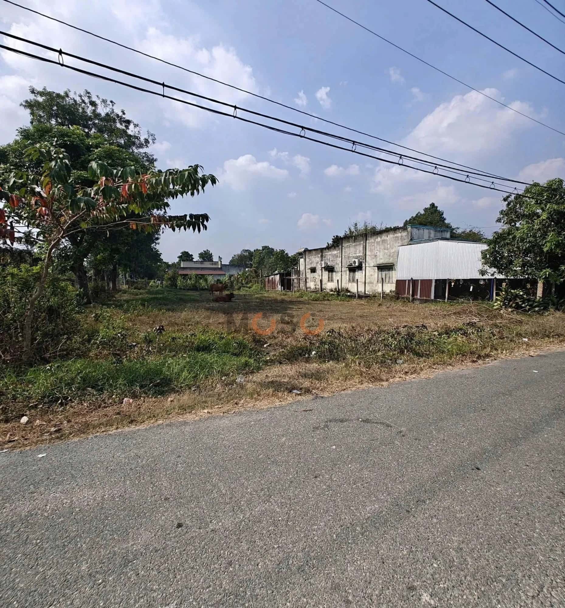 Hình ảnh nhà 2 Hình ảnh nhà 2