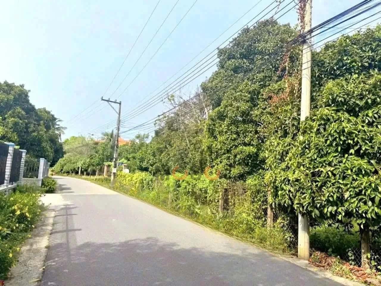 Bán đất An Sơn 01 Thành phố Thuận An, Bình Dương – giá 14.5 tỷ — Hình 3 Bán đất An Sơn 01 Thành phố Thuận An, Bình Dương – giá 14.5 tỷ — Hình 3