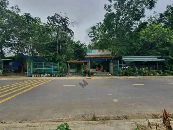 Hình ảnh nhà 2 Hình ảnh nhà 2
