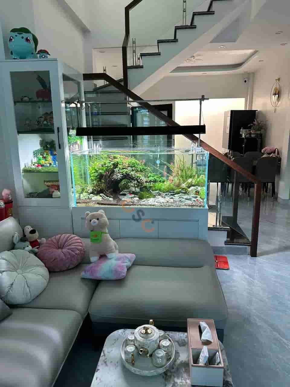 Image Image