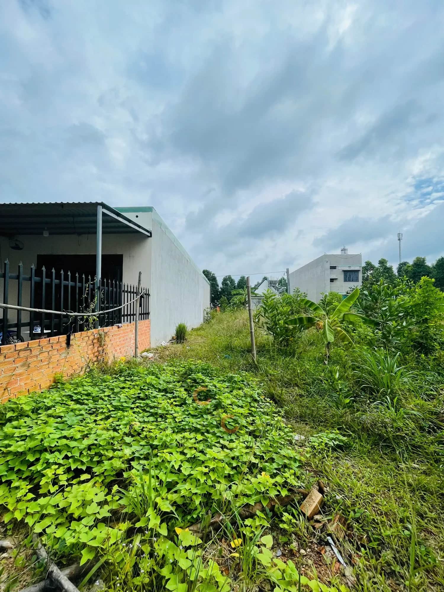 Bán đất đường N7 Thành phố Bến Cát, Bình Dương – giá 1.8 tỷ Bán đất đường N7 Thành phố Bến Cát, Bình Dương – giá 1.8 tỷ