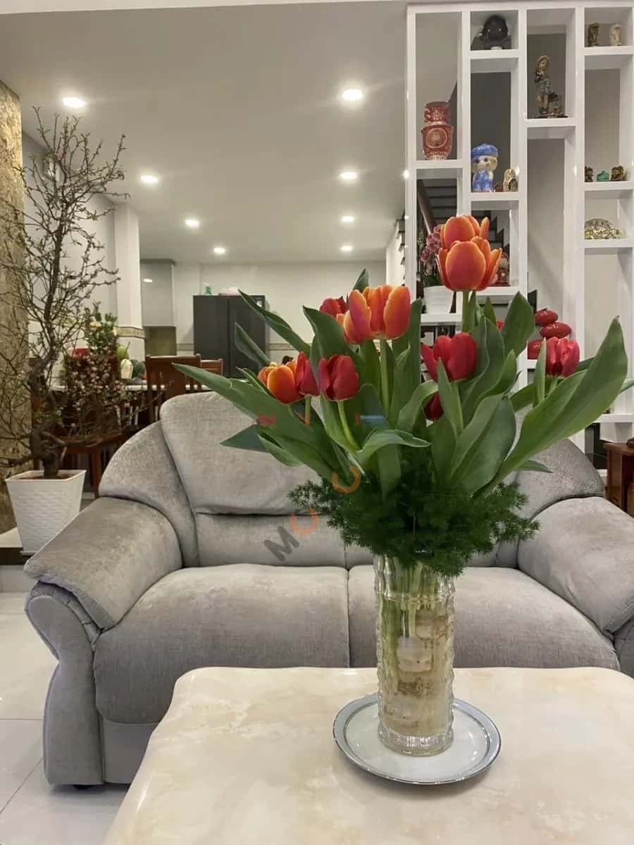 Cho thuê phòng trọ Đường Khánh Hội Quận 4, TP.HCM – 1 phòng ngủ, giá 5.5 triệu — Hình 2 Cho thuê phòng trọ Đường Khánh Hội Quận 4, TP.HCM – 1 phòng ngủ, giá 5.5 triệu — Hình 2