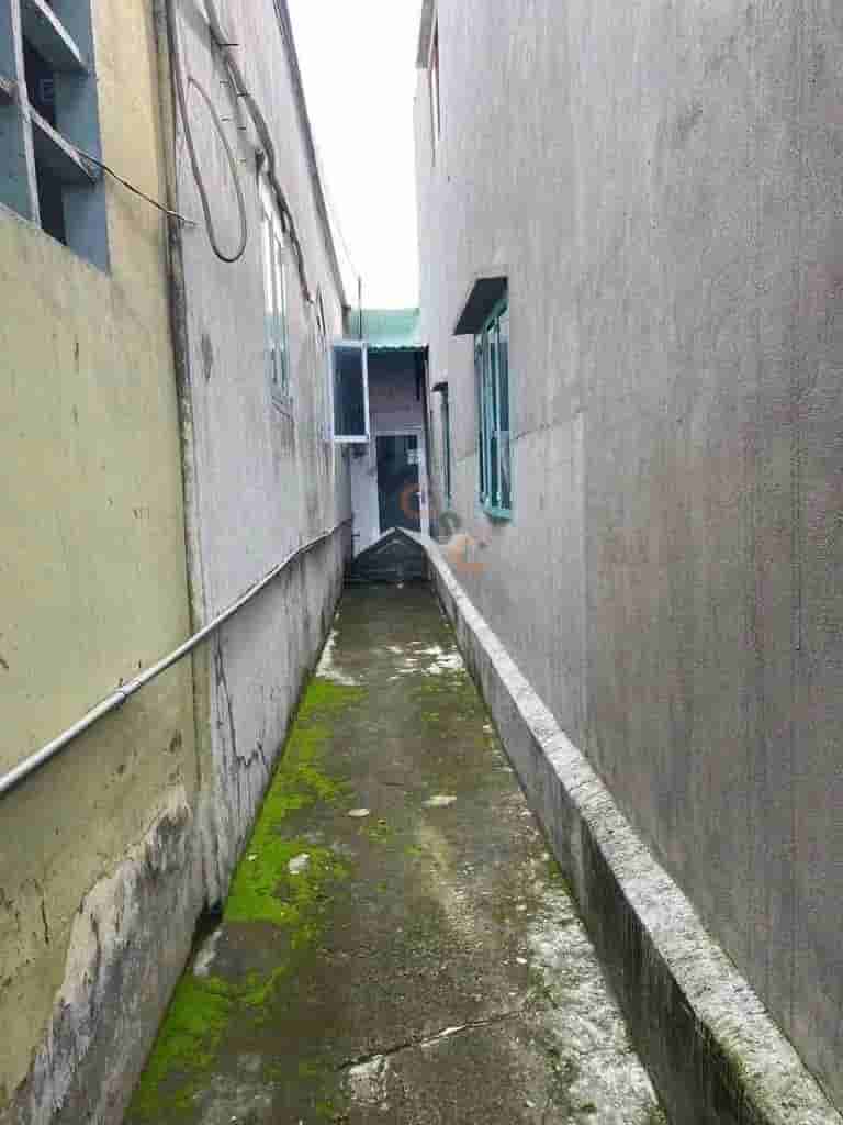 Image Image