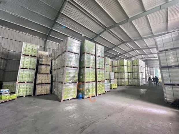 Cho thuê kho, nhà xưởng Tỉnh lộ 427 Thường Tín, Hà Nội – giá 72 triệu — Hình 2 Cho thuê kho, nhà xưởng Tỉnh lộ 427 Thường Tín, Hà Nội – giá 72 triệu — Hình 2
