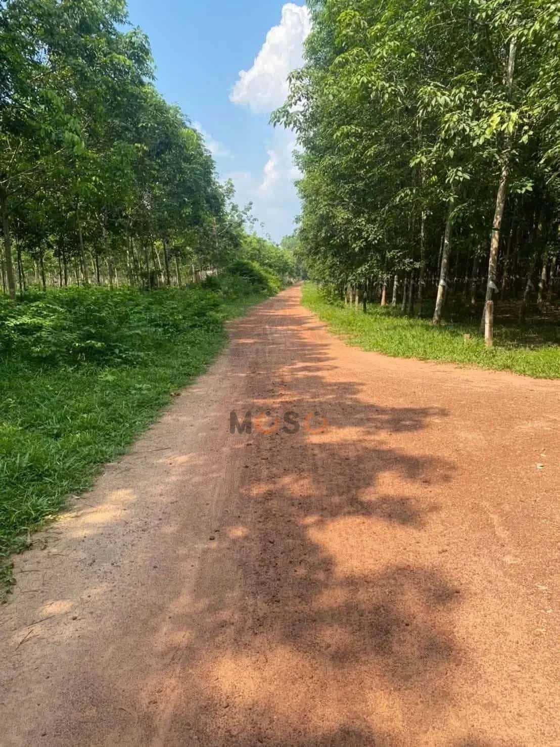 Hình ảnh nhà 3 Hình ảnh nhà 3