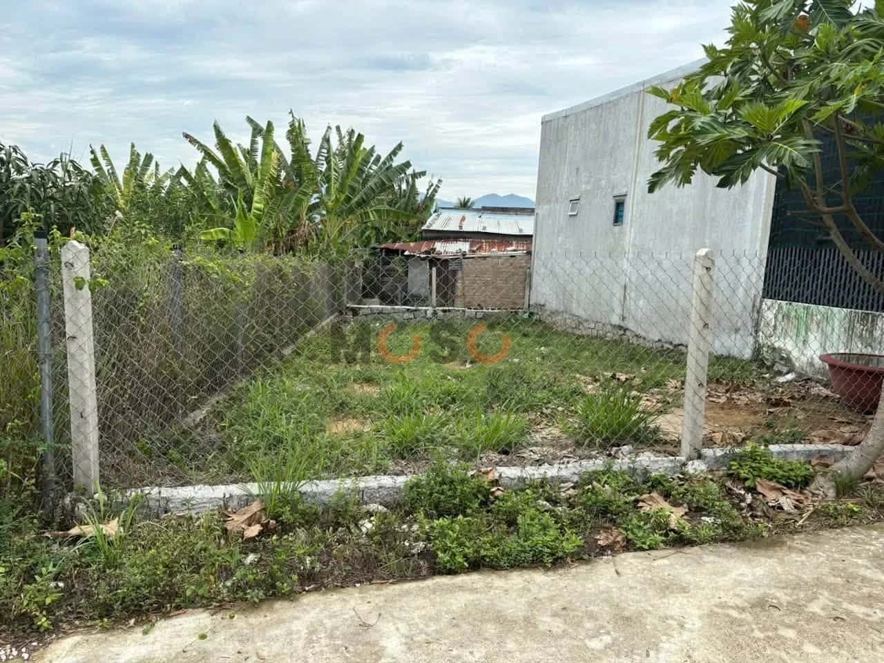 Bán đất Thôn An Ninh Huyện Diên Khánh, Khánh Hòa – giá 1.1 tỷ — Hình 2 Bán đất Thôn An Ninh Huyện Diên Khánh, Khánh Hòa – giá 1.1 tỷ — Hình 2