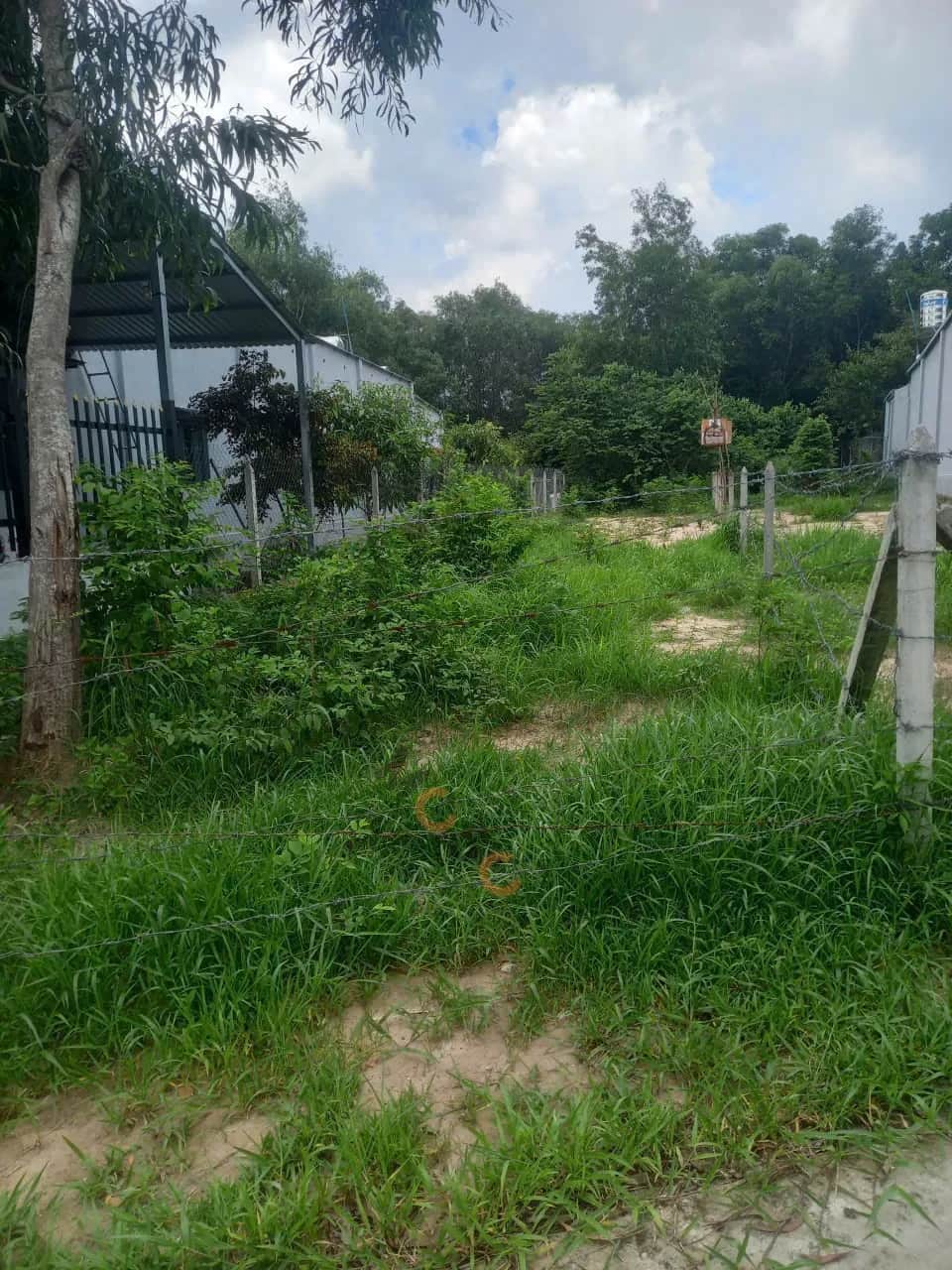 Bán đất Đường Phú An 027 Thành phố Bến Cát, Bình Dương – giá 1.6 tỷ Bán đất Đường Phú An 027 Thành phố Bến Cát, Bình Dương – giá 1.6 tỷ