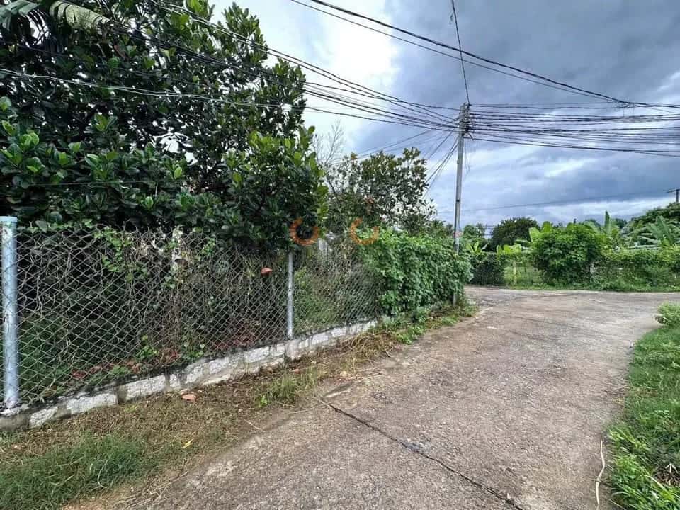 Bán đất Thôn Phước Tuy 2 Huyện Diên Khánh, Khánh Hòa – giá 469 triệu — Hình 3 Bán đất Thôn Phước Tuy 2 Huyện Diên Khánh, Khánh Hòa – giá 469 triệu — Hình 3
