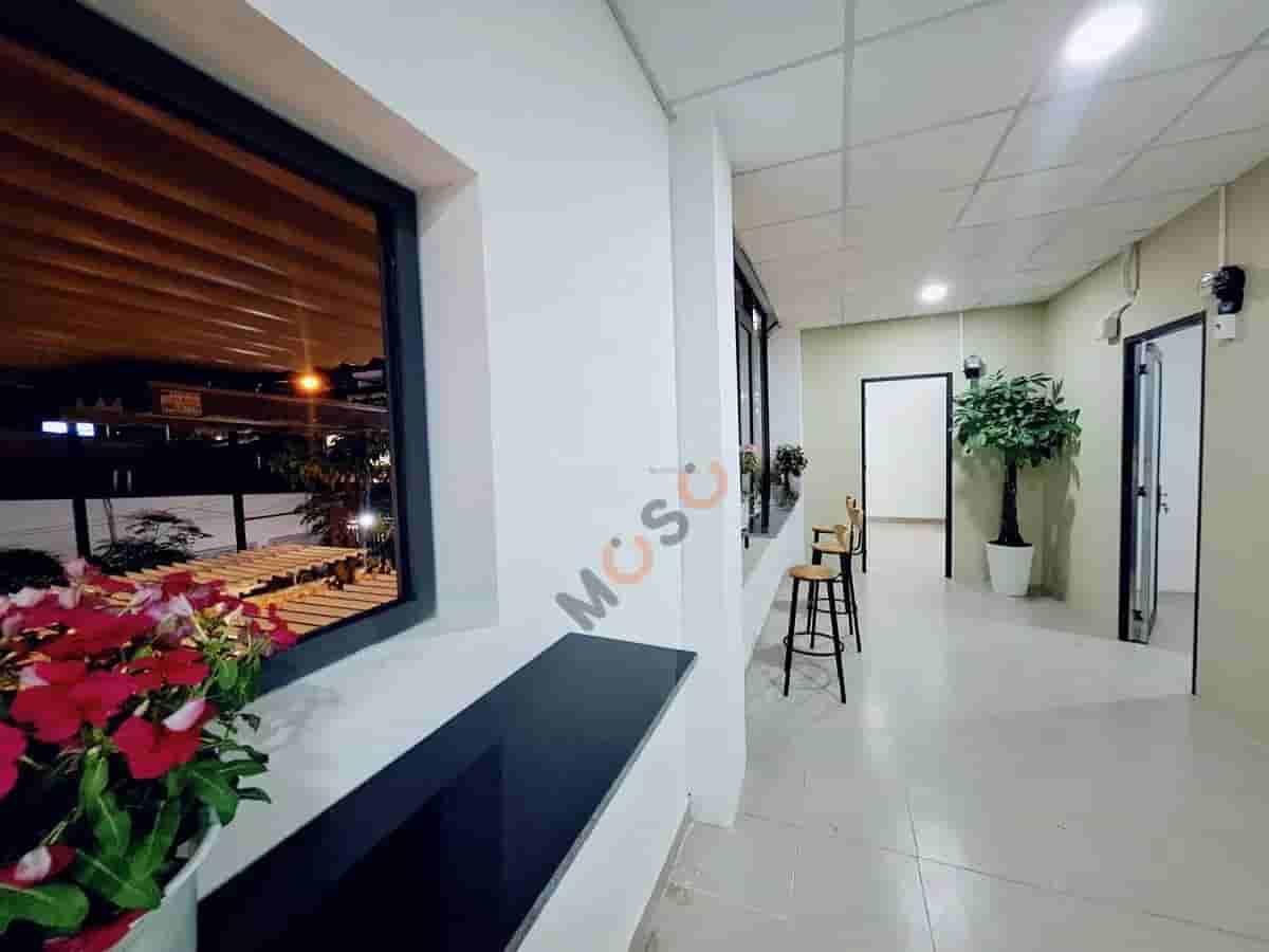 Image Image